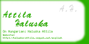 attila haluska business card